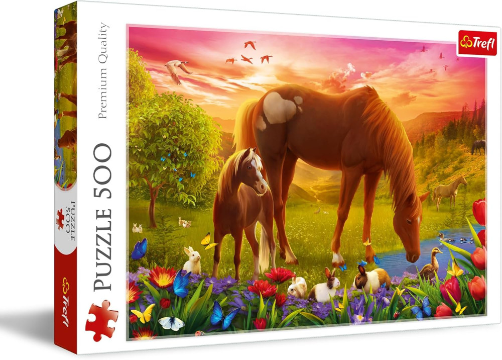 007884 Puzzle 500  "Cai"