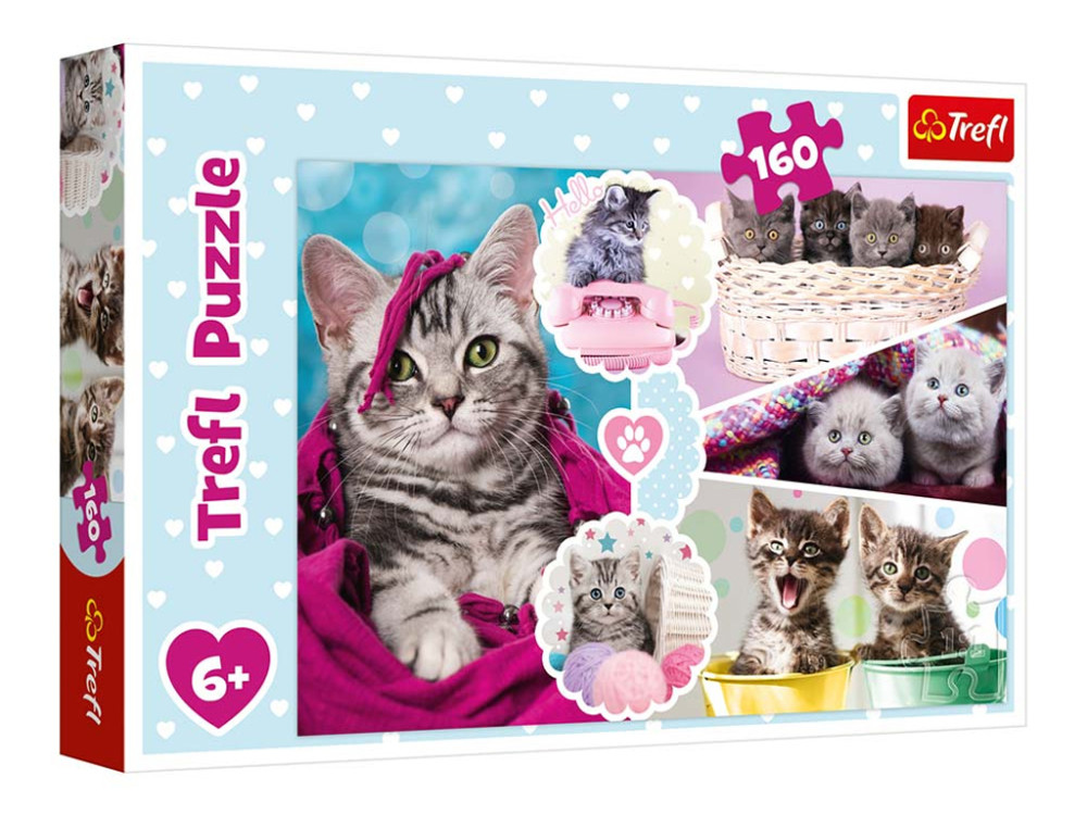 009311 Puzzle 160 "Lovely kittens"