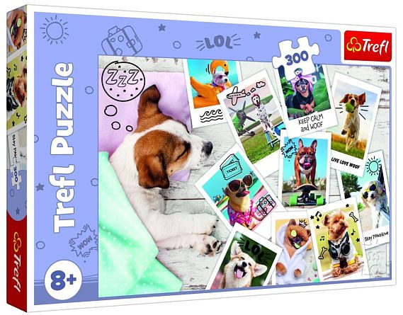 009329 Puzzle 300 "Holiday pictures"