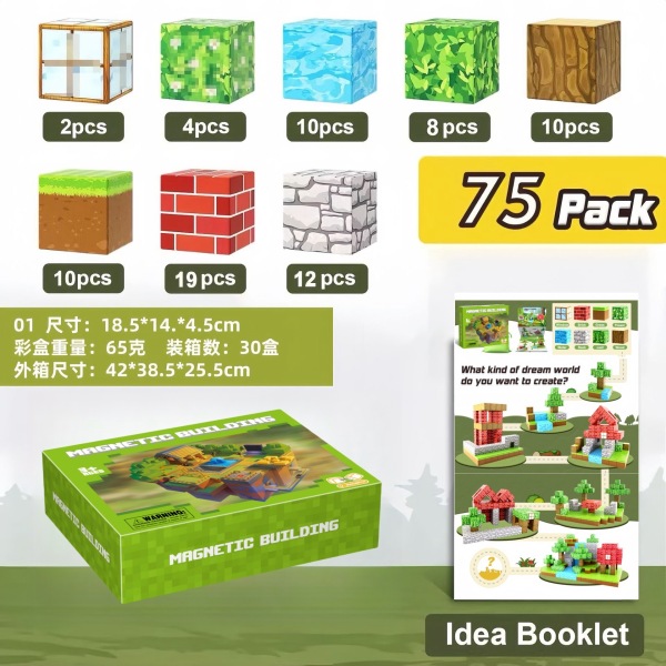 008433 Constructor magnetic 75pcs